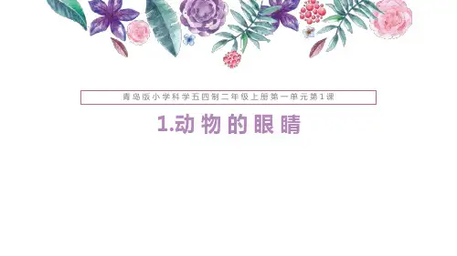 《1.动物的眼睛》-优质课公开课说课稿说课