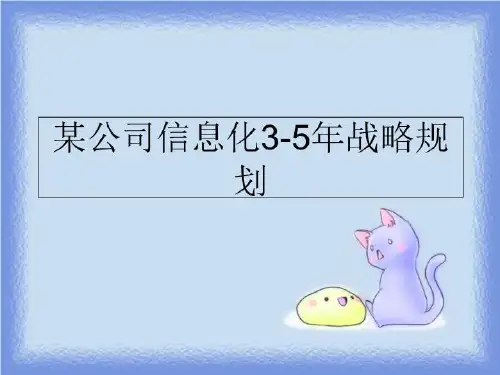 最新某公司信息化3-5年战略规划精品ppt课件