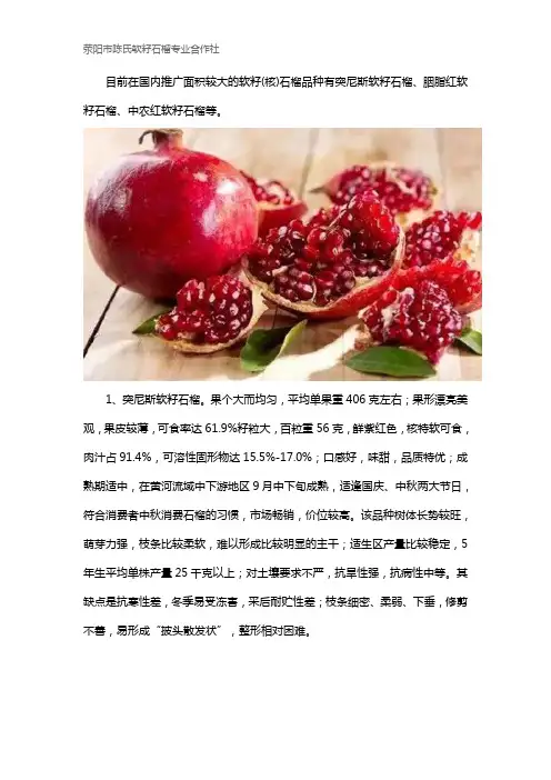 想种植软籽石榴,选哪个树苗品种比较好