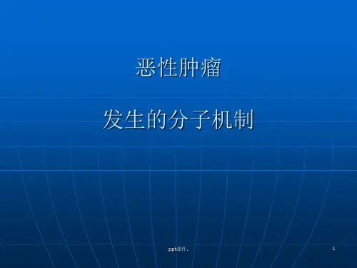 分子生物学恶性肿瘤发生的分子机制ppt课件
