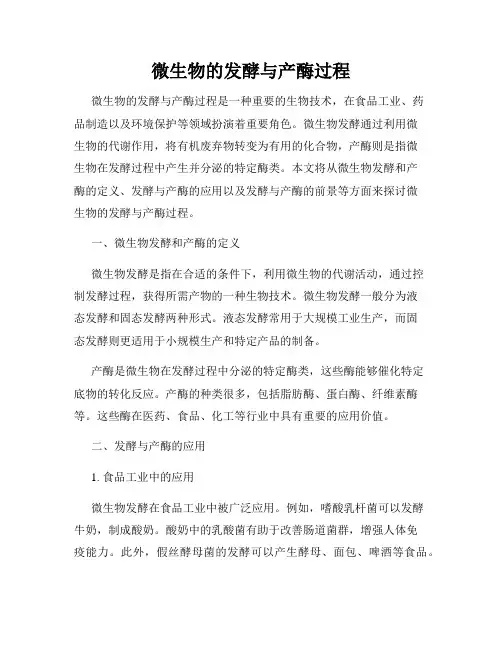 微生物的发酵与产酶过程
