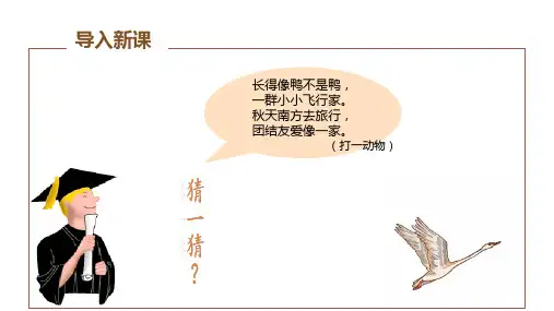 七年级语文《大雁归来 》课件