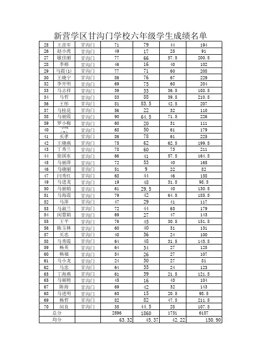 新营学区六年级成绩表