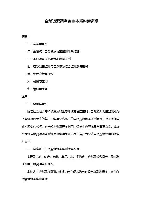 自然资源调查监测体系构建巡视