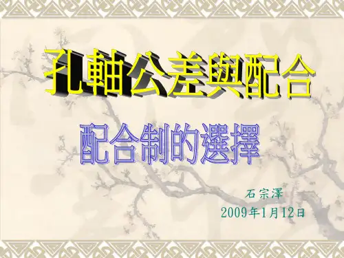 配合制的选择