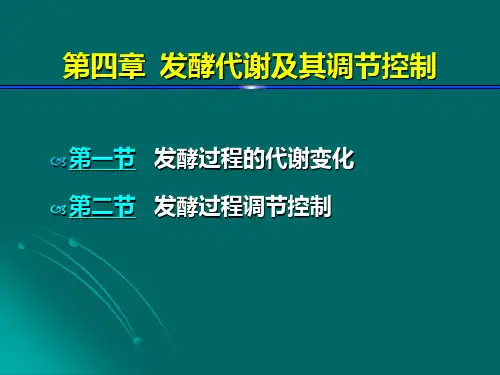 第4章 发酵代谢及其调节控制