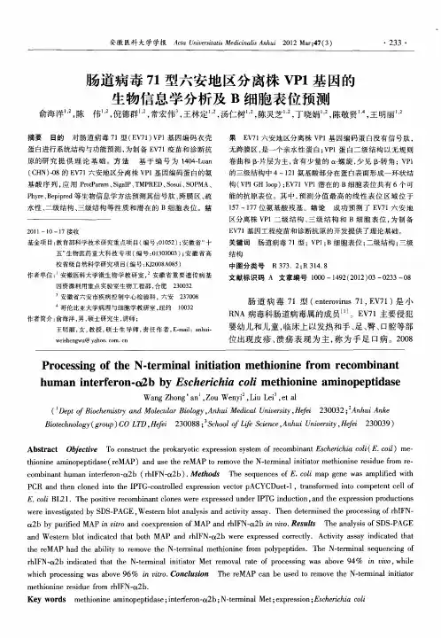 肠道病毒71型六安地区分离株VP1基因的生物信息学分析及B细胞表位预测