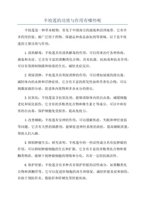 半枝莲的功效与作用有哪些呢