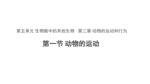 动物的运动ppt课件