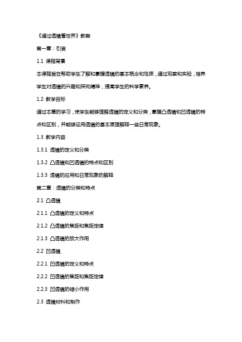 《通过透镜看世界》教案