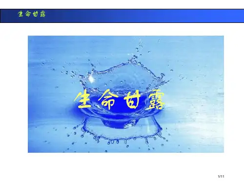六年级美术上册第9课生命的甘露课件全国公开课一等奖百校联赛微课赛课特等奖PPT课件