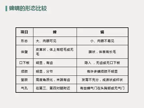 蜱螨形态比较、疥螨痒螨比较
