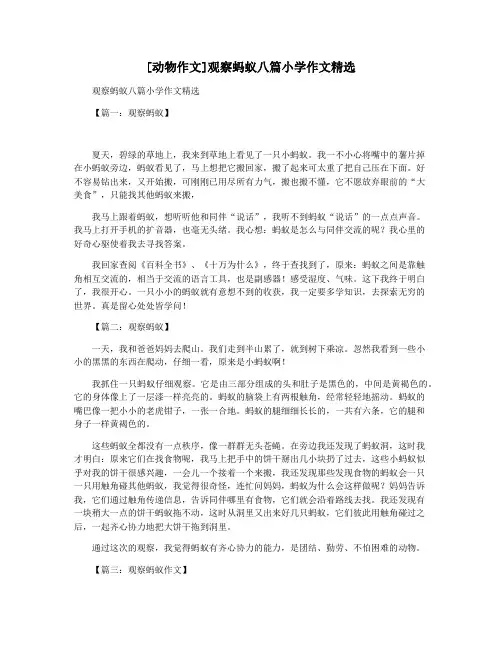 [动物作文]观察蚂蚁八篇小学作文精选