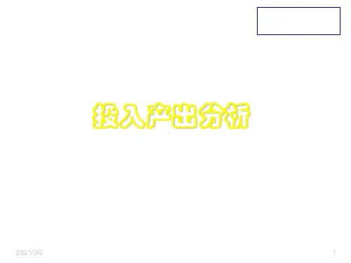 《投入产出分析》PPT课件