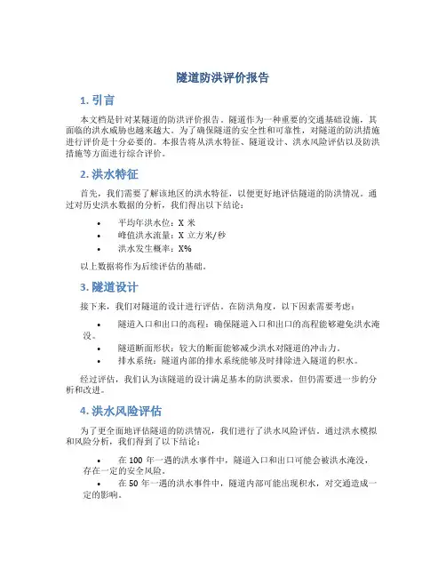 隧道防洪评价报告