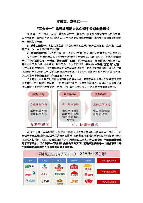 守得住、走得远——“三力合一”品牌战略助力盐企短、中、长期生意增长