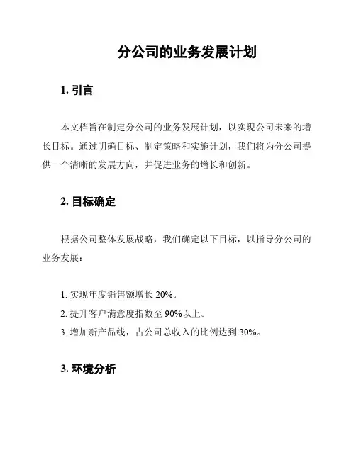 分公司的业务发展计划