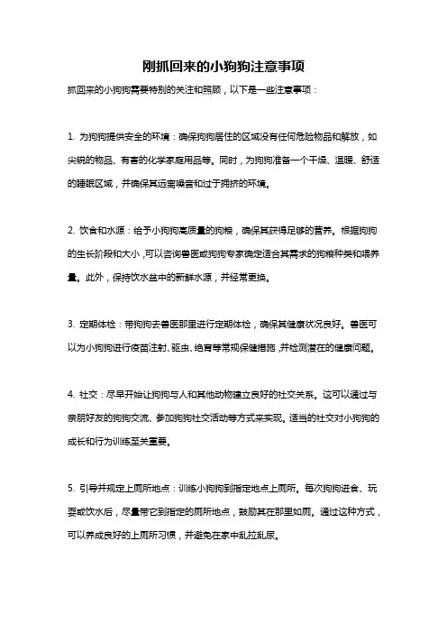 刚抓回来的小狗狗注意事项