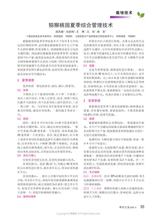 猕猴桃园夏季综合管理技术