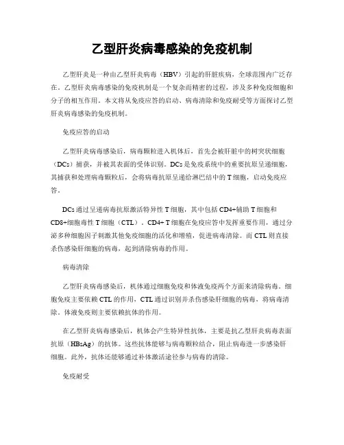 乙型肝炎病毒感染的免疫机制