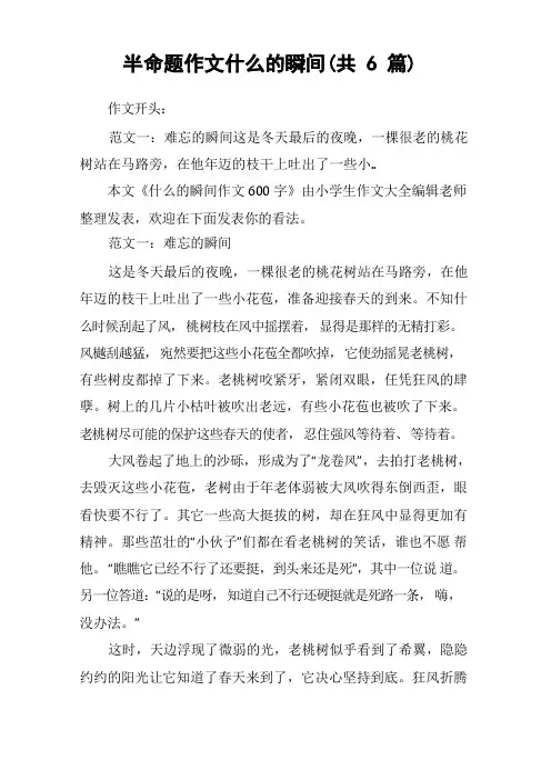 半命题作文什么的瞬间(共6篇)_作文