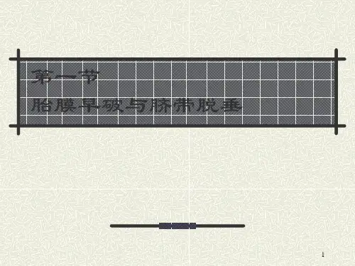 分娩期并发症产妇的护理培训课件