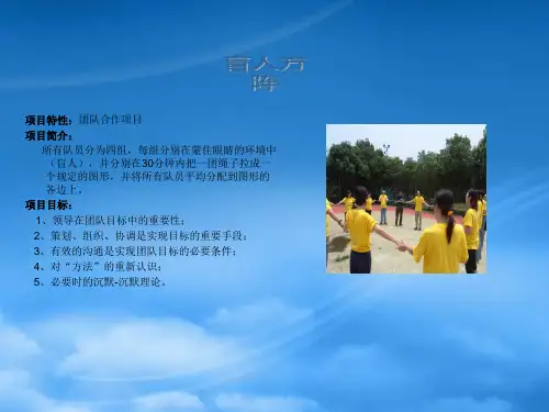 项目介绍.pptx