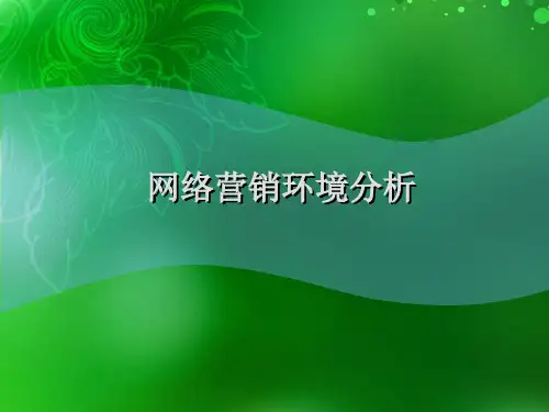 网络营销环境分析(PPT36页)