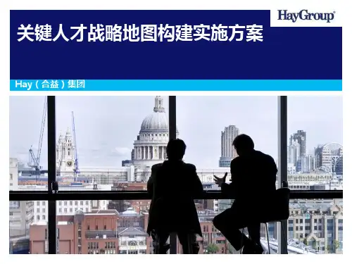 hay-宇龙关键人才战略地图构建实施方案