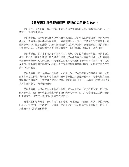 【五年级】感悟野花盛开 野花的启示作文500字