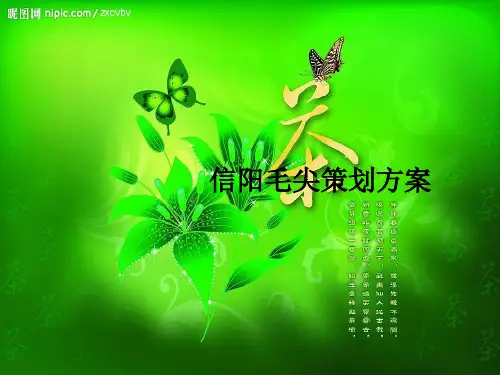 信阳毛尖策划方案