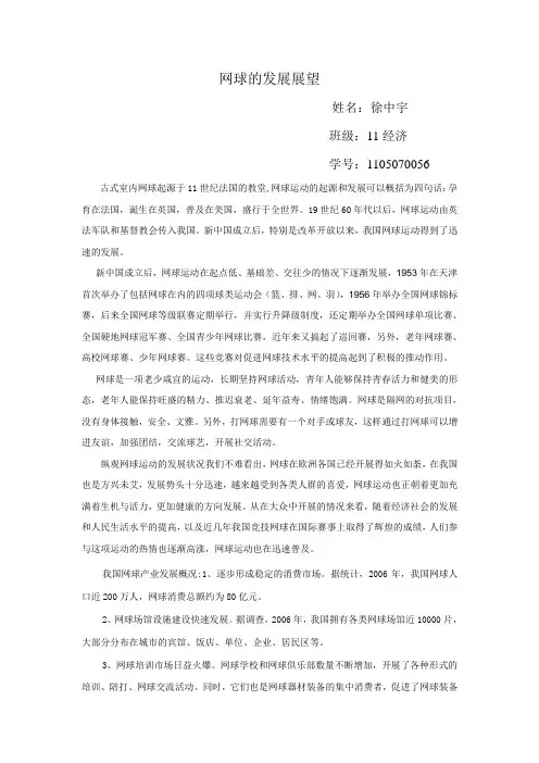 网球的发展