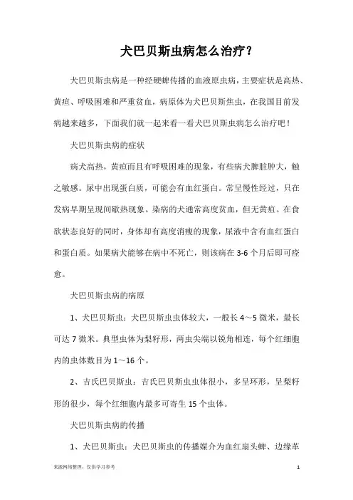 犬巴贝斯虫病怎么治疗？