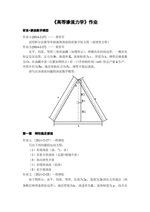高等渗流力学作业-完整版