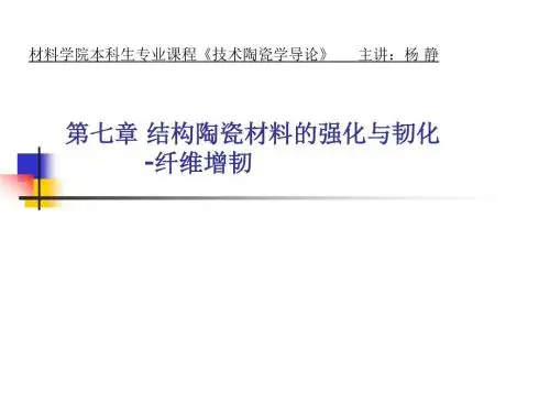 结构陶瓷纤维补强.