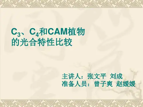 C3、C4和CAM植物的光合特性比较