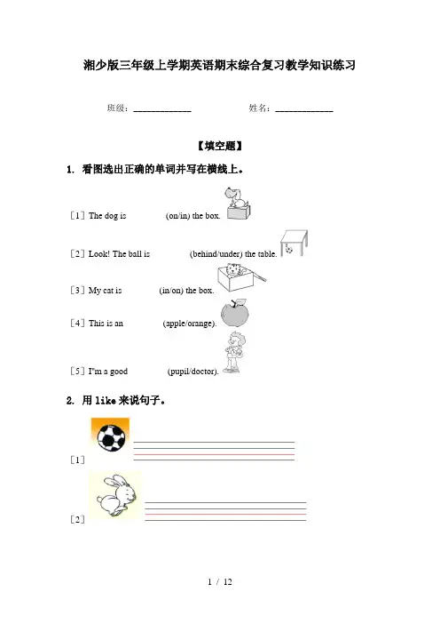 湘少版三年级上学期英语期末综合复习教学知识练习