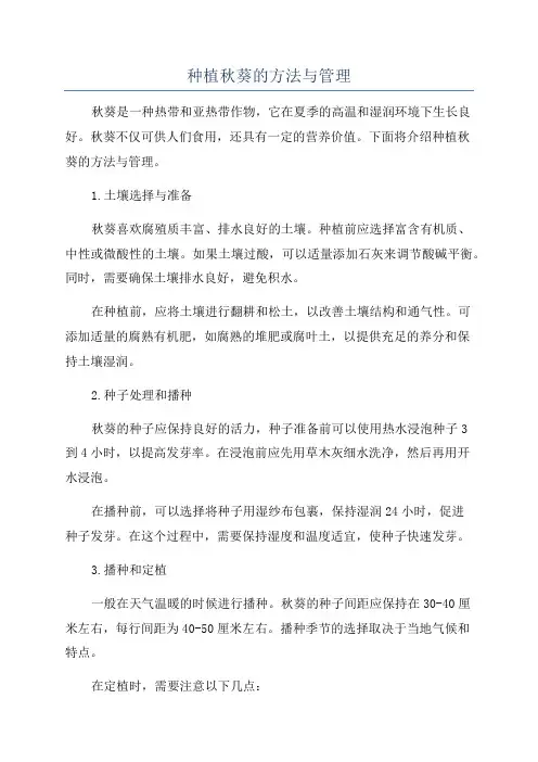 种植秋葵的方法与管理