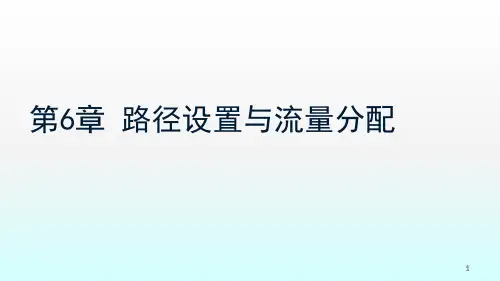 VISSIM路径设置与流量分配ppt课件