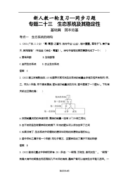 专题23 生态系统及其稳定性【人教(2019)生物一轮复习同步习题】
