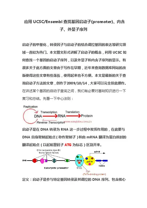 应用UCSCEnsembl查找基因启动子(promoter)内含子外显子序列