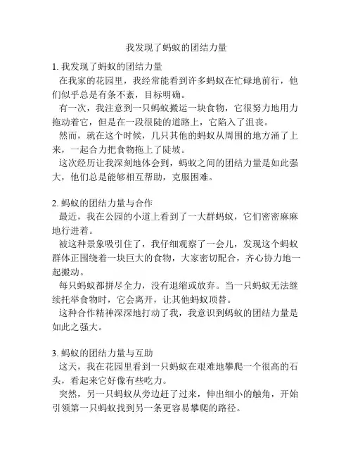 我发现了蚂蚁的团结力量