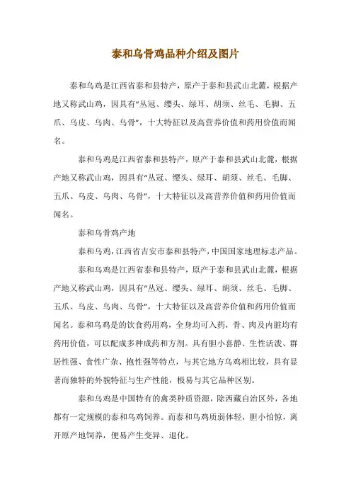 泰和乌骨鸡品种介绍及图片