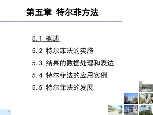 第5章-德尔菲方法全