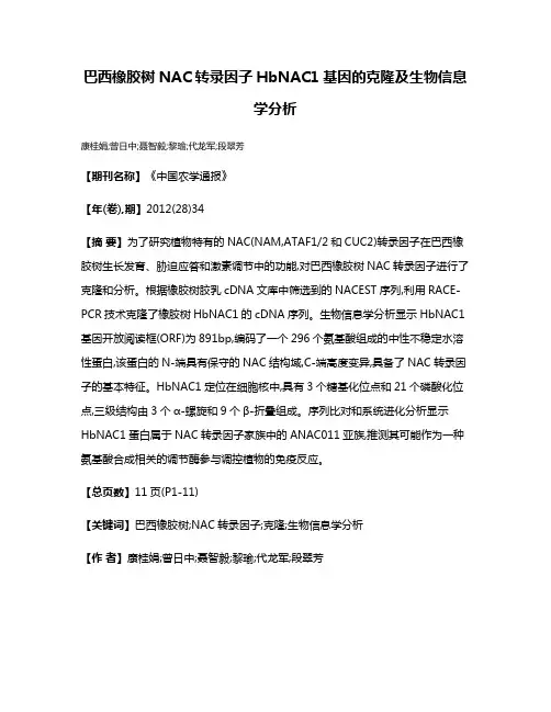巴西橡胶树NAC转录因子HbNAC1基因的克隆及生物信息学分析