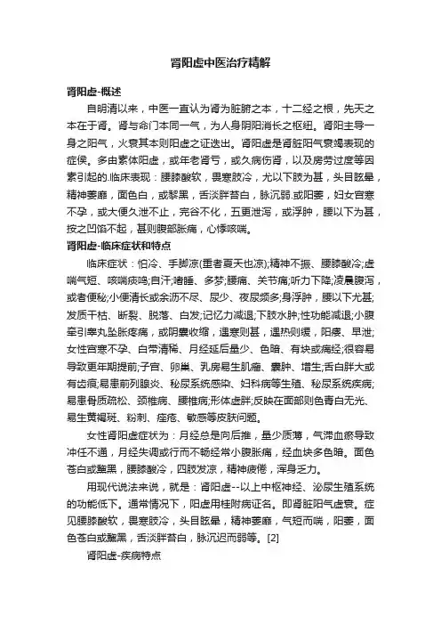 肾阳虚中医治疗精解