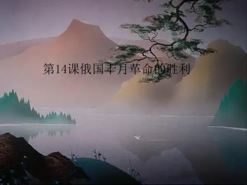 俄国十月革命的胜利PPT实用课件14