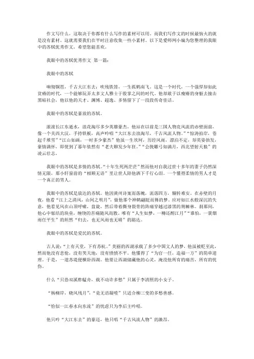 我眼中的苏轼优秀作文(8篇)