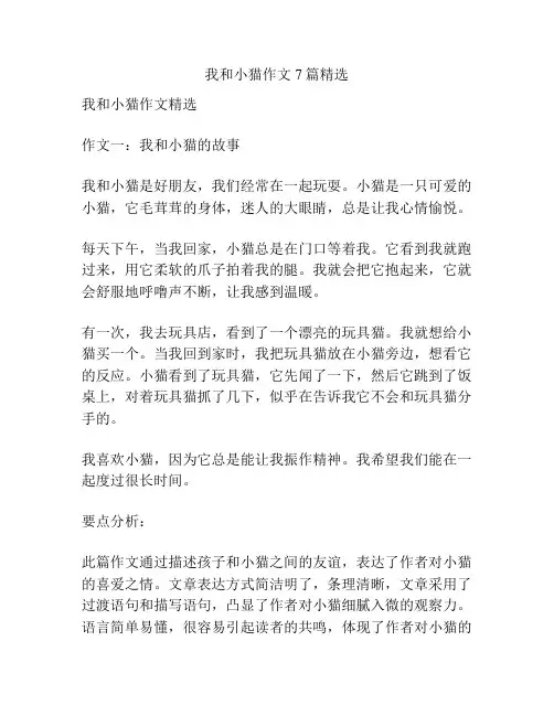 我和小猫作文7篇精选