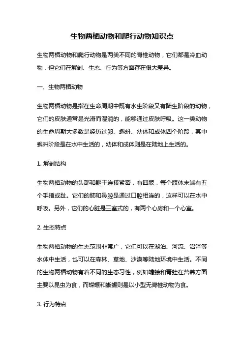 生物两栖动物和爬行动物知识点